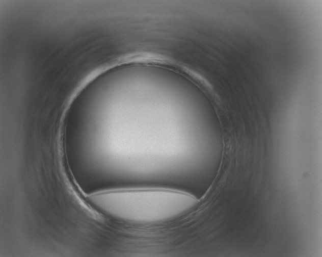 X0000081501375200701121127