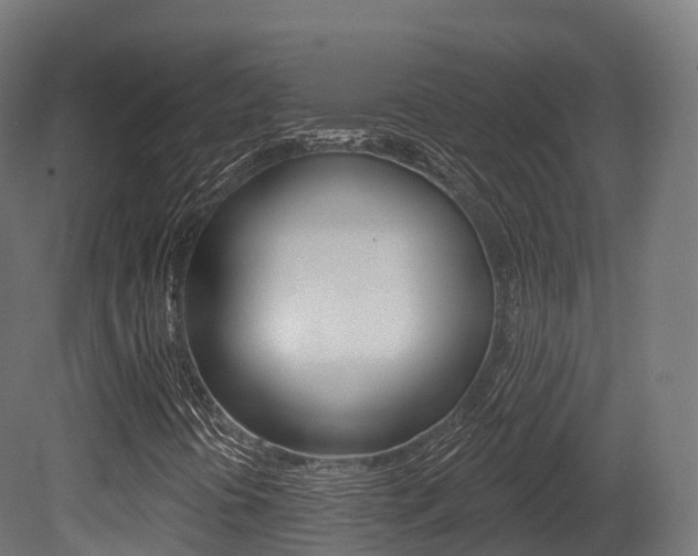 X0000081501394200701121126
