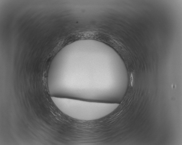 X0000081501395200701121126