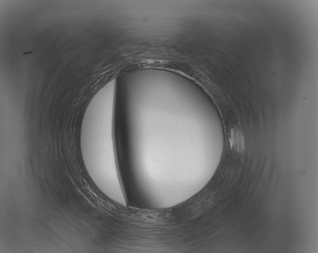 X0000081501396200701121126
