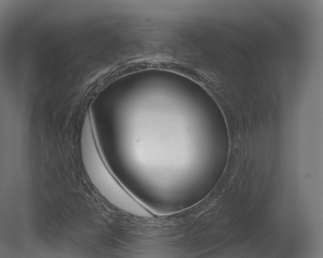 X0000081501398200701121126