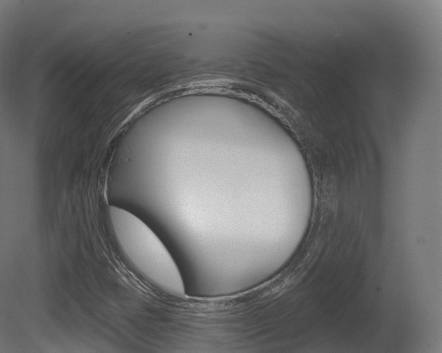 X0000081501401200701121126
