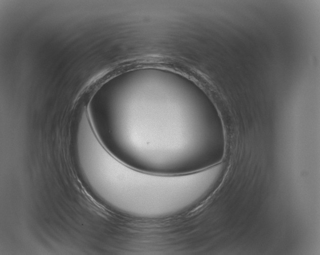 X0000081501402200701121126