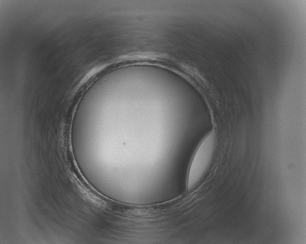 X0000081501404200701121126