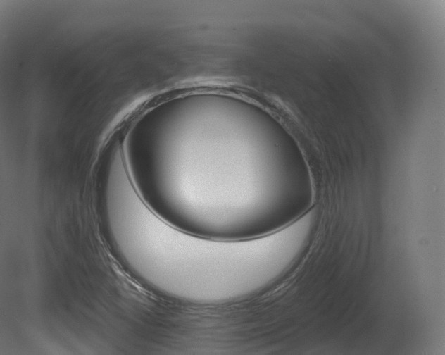 X0000081501406200701121126