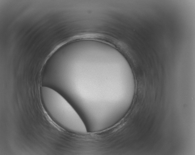 X0000081501417200701121127