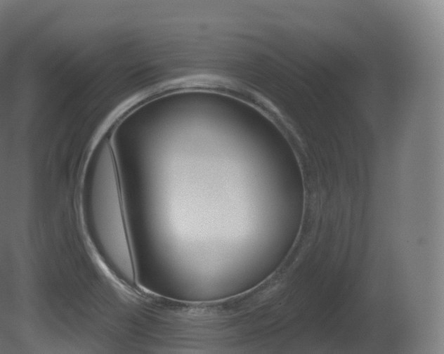 X0000081501418200701121127