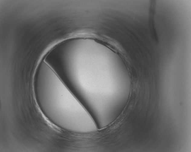 X0000081501430200701121127