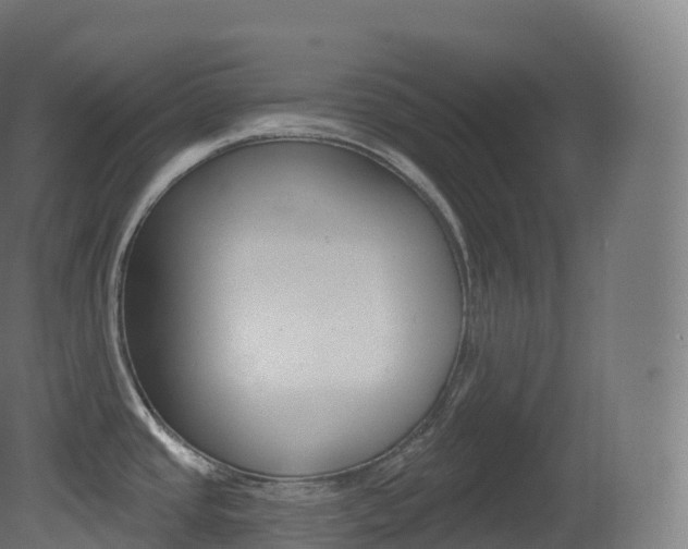 X0000081501437200701121127