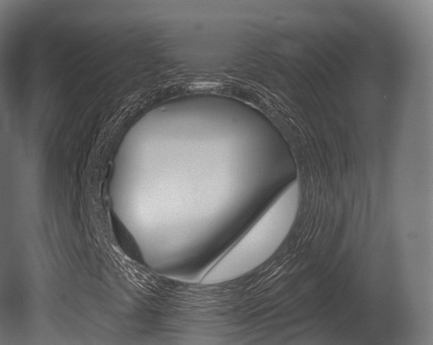 X0000081501441200701121126