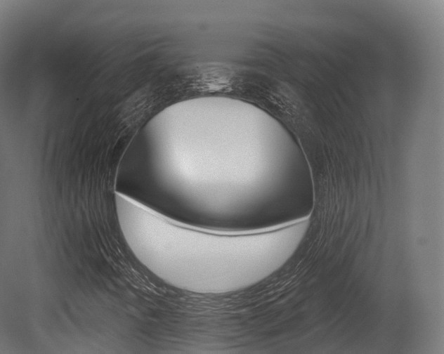 X0000081501442200701121126