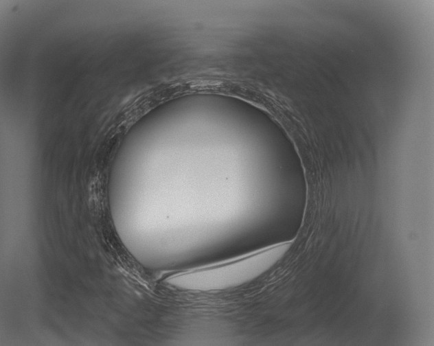 X0000081501445200701121126