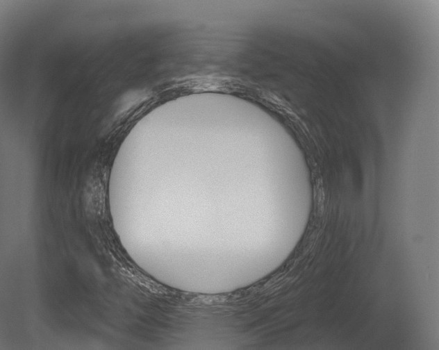 X0000081501446200701121126