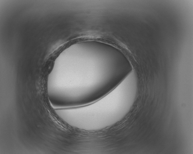 X0000081501448200701121126