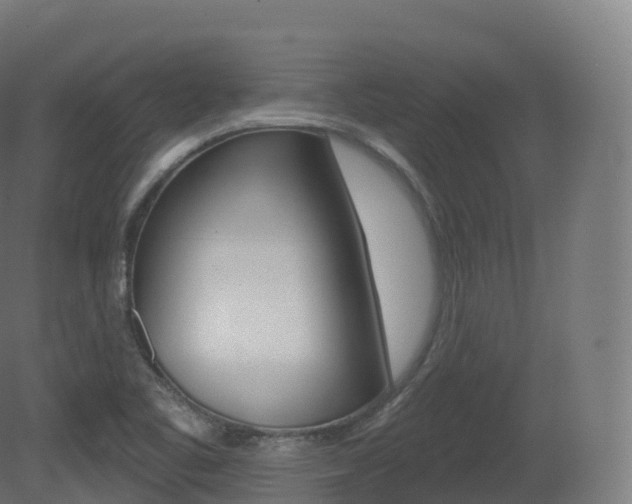 X0000081501461200701121126