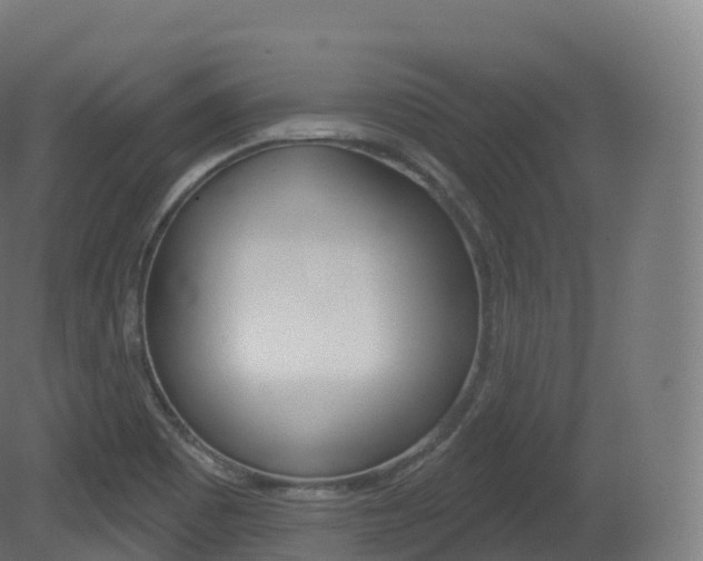 X0000081501465200701121126