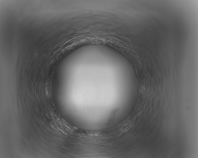 X0000081501490200701121124