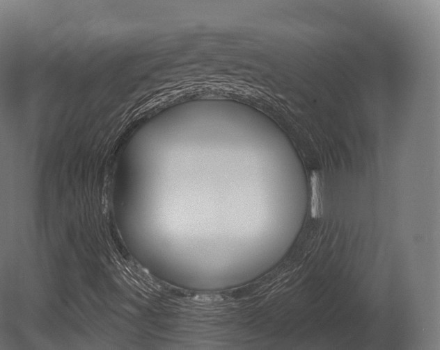 X0000081501491200701121125