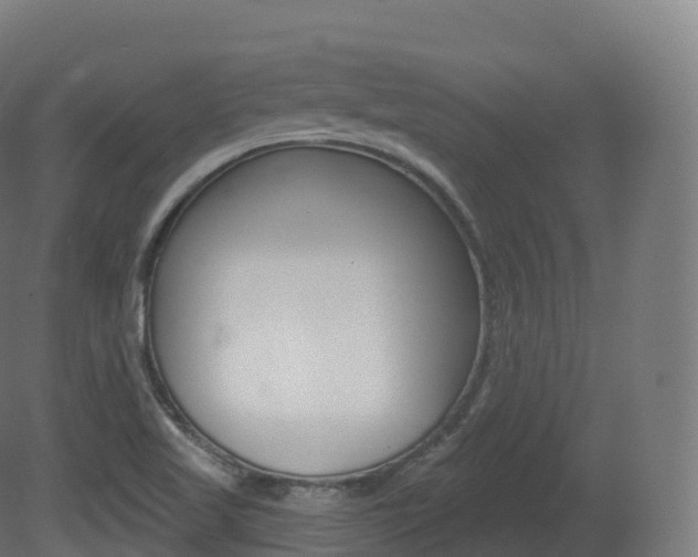 X0000081501509200701121125