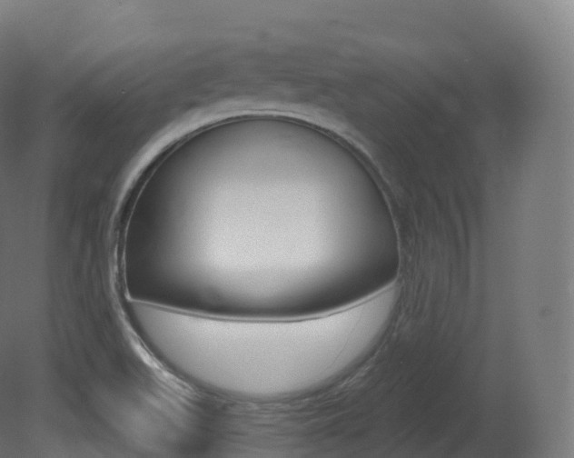 X0000081501511200701121125