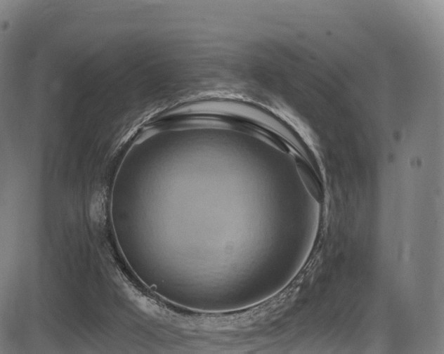 X0000081500009200701121547