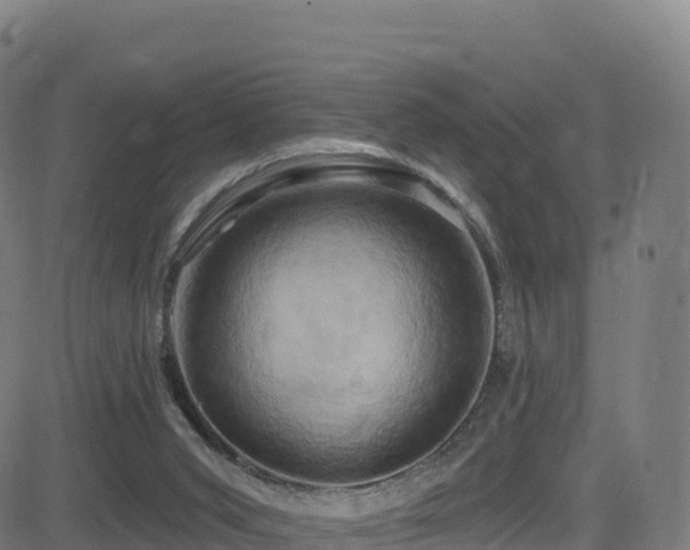 X0000081500015200701121547