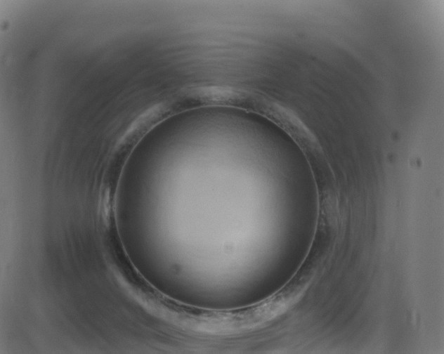 X0000081500024200701121547