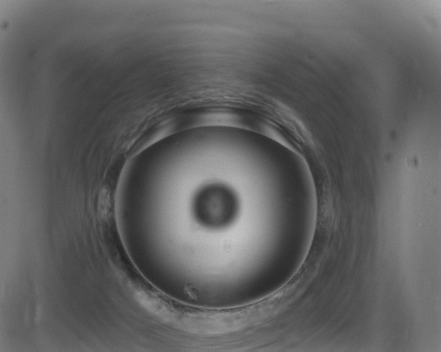 X0000081500025200701121547
