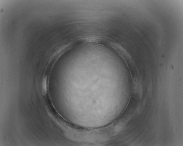 X0000081500028200701121547