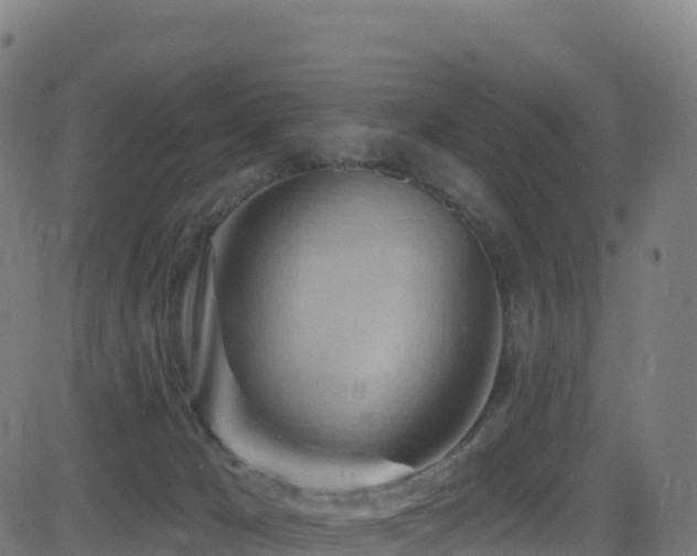 X0000081500029200701121547