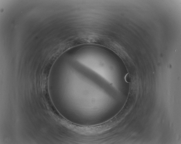 X0000081500030200701121547