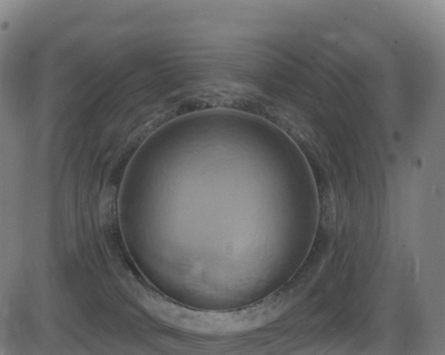 X0000081500034200701121547