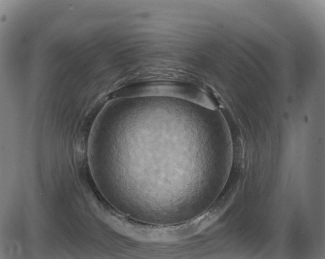 X0000081500040200701121546