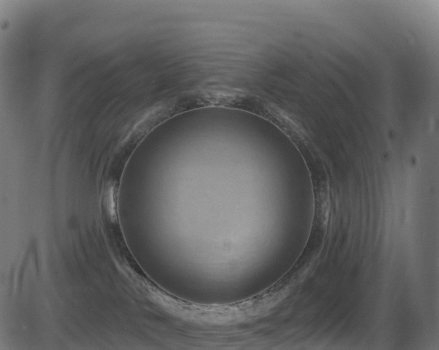 X0000081500042200701121546