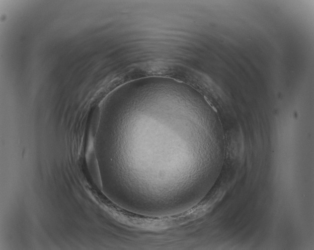 X0000081500044200701121546