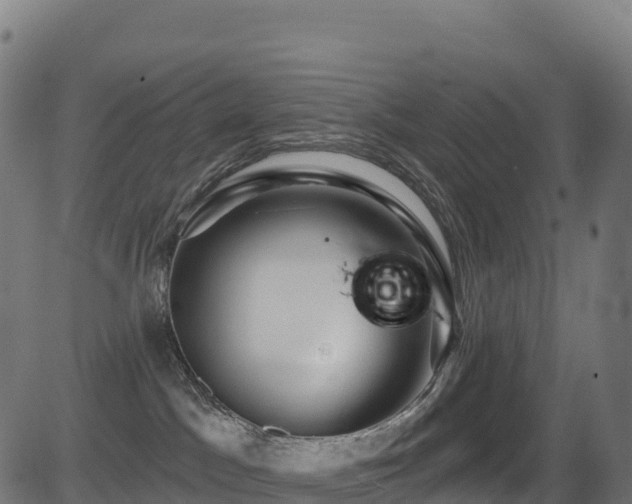 X0000081500045200701121546