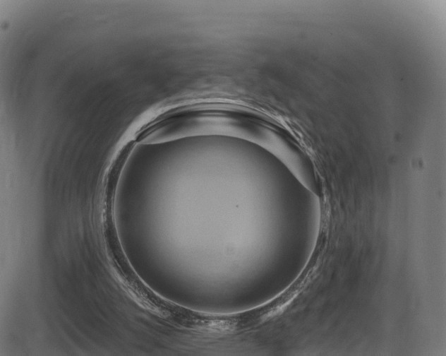 X0000081500056200701121546