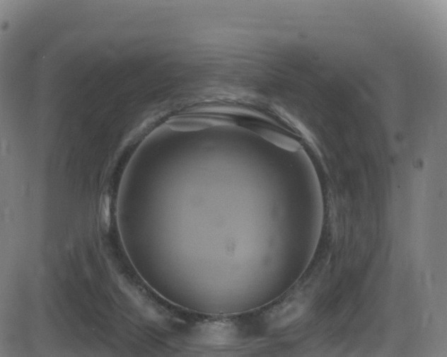 X0000081500067200701121546