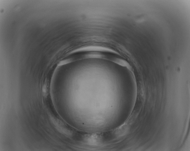 X0000081500074200701121546