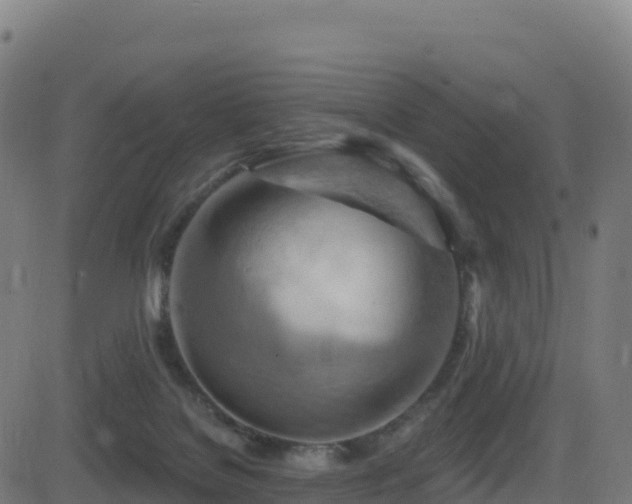 X0000081500076200701121546