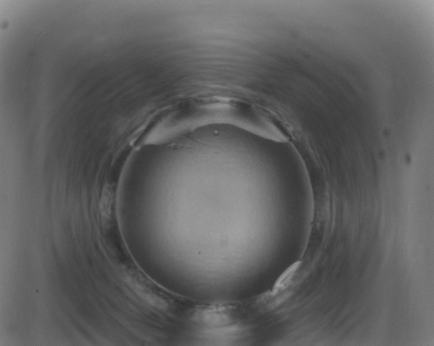 X0000081500078200701121546