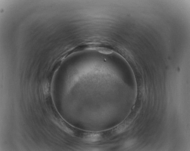 X0000081500081200701121546