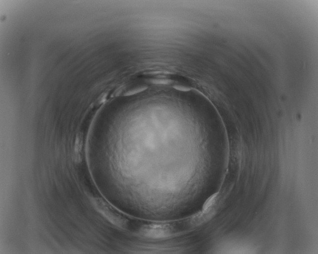 X0000081500082200701121546