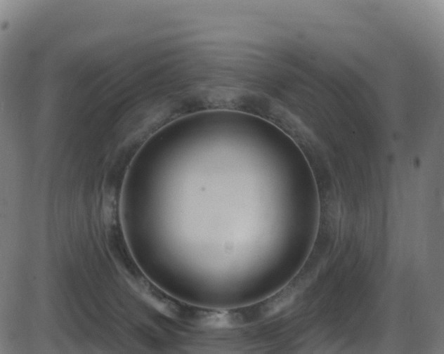 X0000081500083200701121546