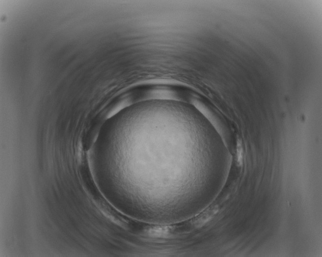 X0000081500084200701121546