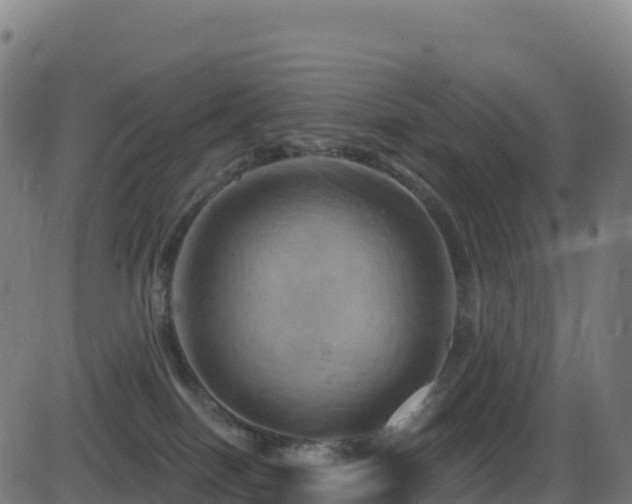 X0000081500086200701121546