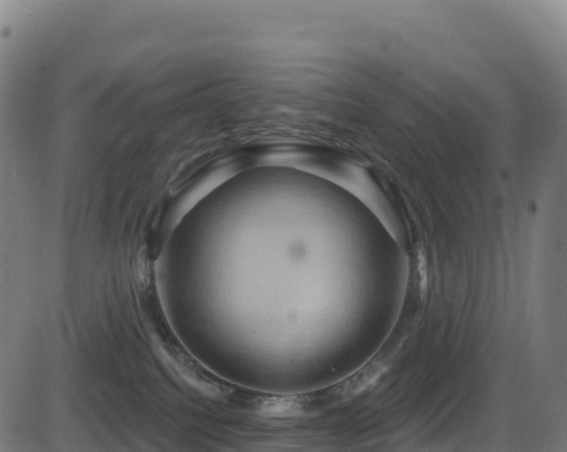 X0000081500088200701121546