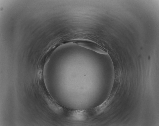 X0000081500090200701121546