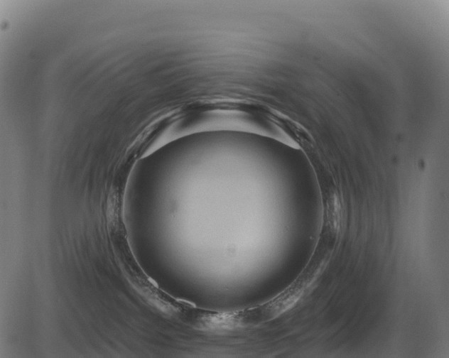 X0000081500092200701121546