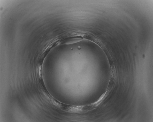 X0000081500094200701121546